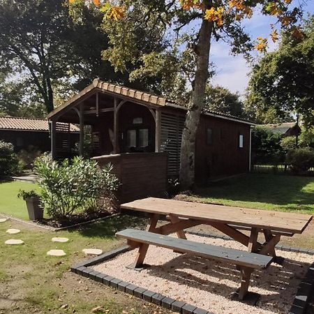 Chalet Prestige Au Coeur Du Bassin D'Arcachon لا تاسْتْ دو بوك المظهر الخارجي الصورة